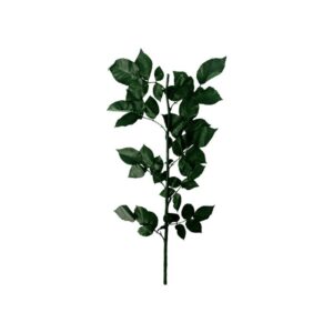 Tallos de Rosas Preservadas 50 cm