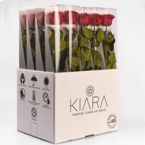 20x Rosa Preservada Roja Sangre con Tallo ESCM Kiara (55 cm)