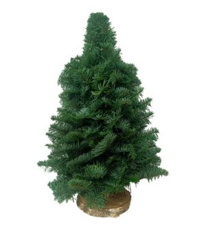 Árbol Nobilis 40 cm