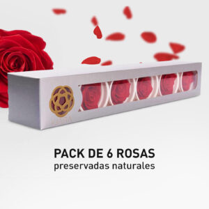 Rosa Preservada de Botón Kiara Rojo