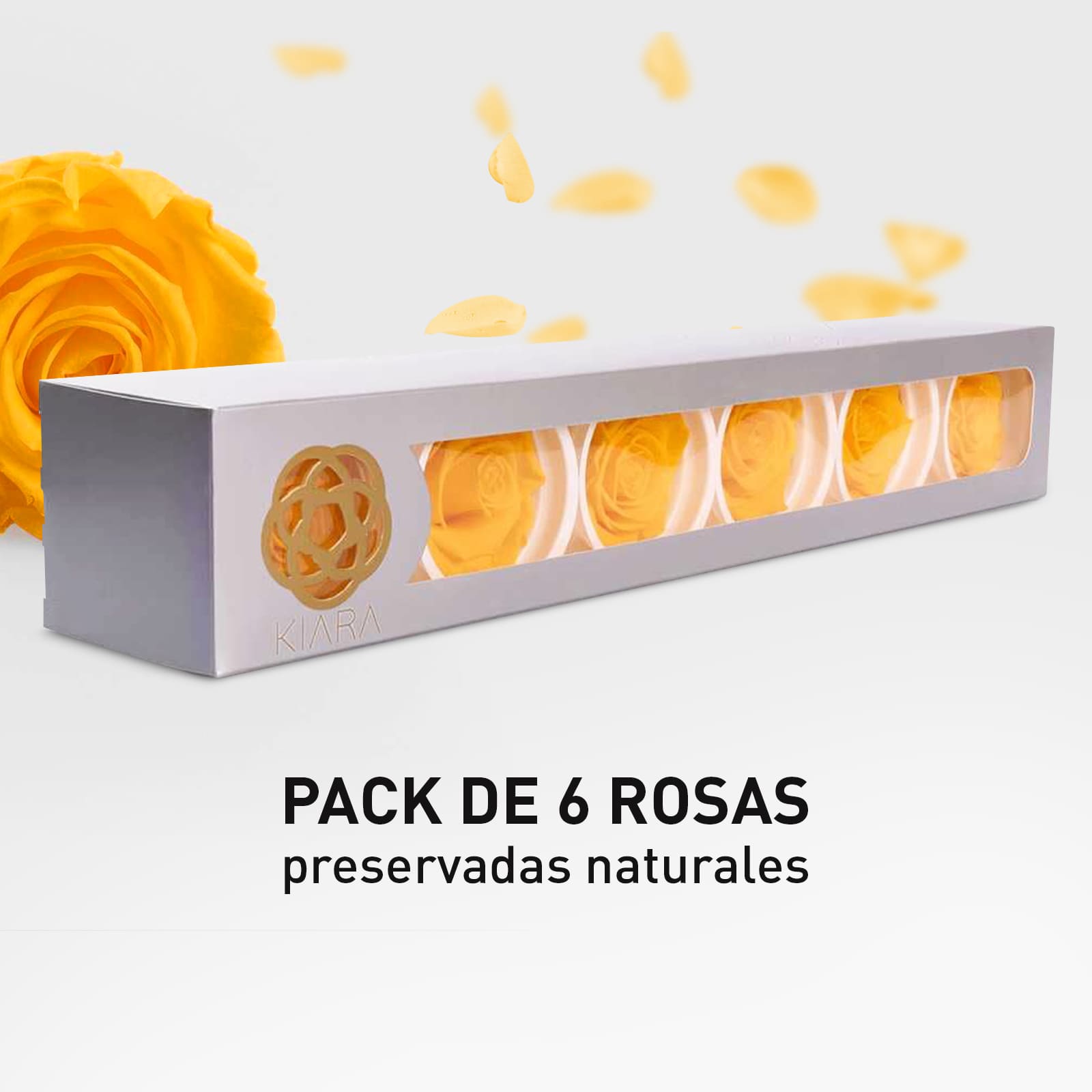 Rosa Preservada de Botón Kiara Amarillo