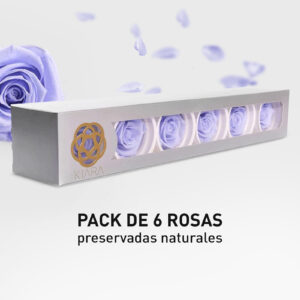 Rosa Preservada de Botón Kiara Lavanda
