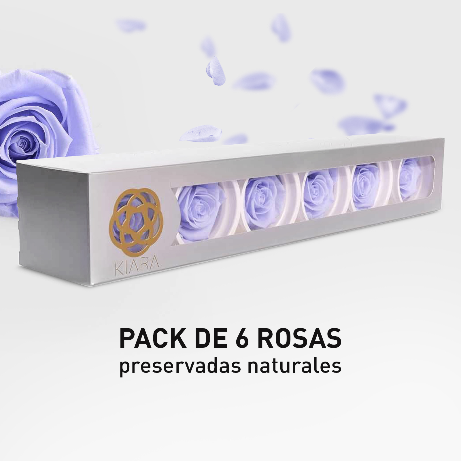 Rosa Preservada de Botón Kiara Lavanda