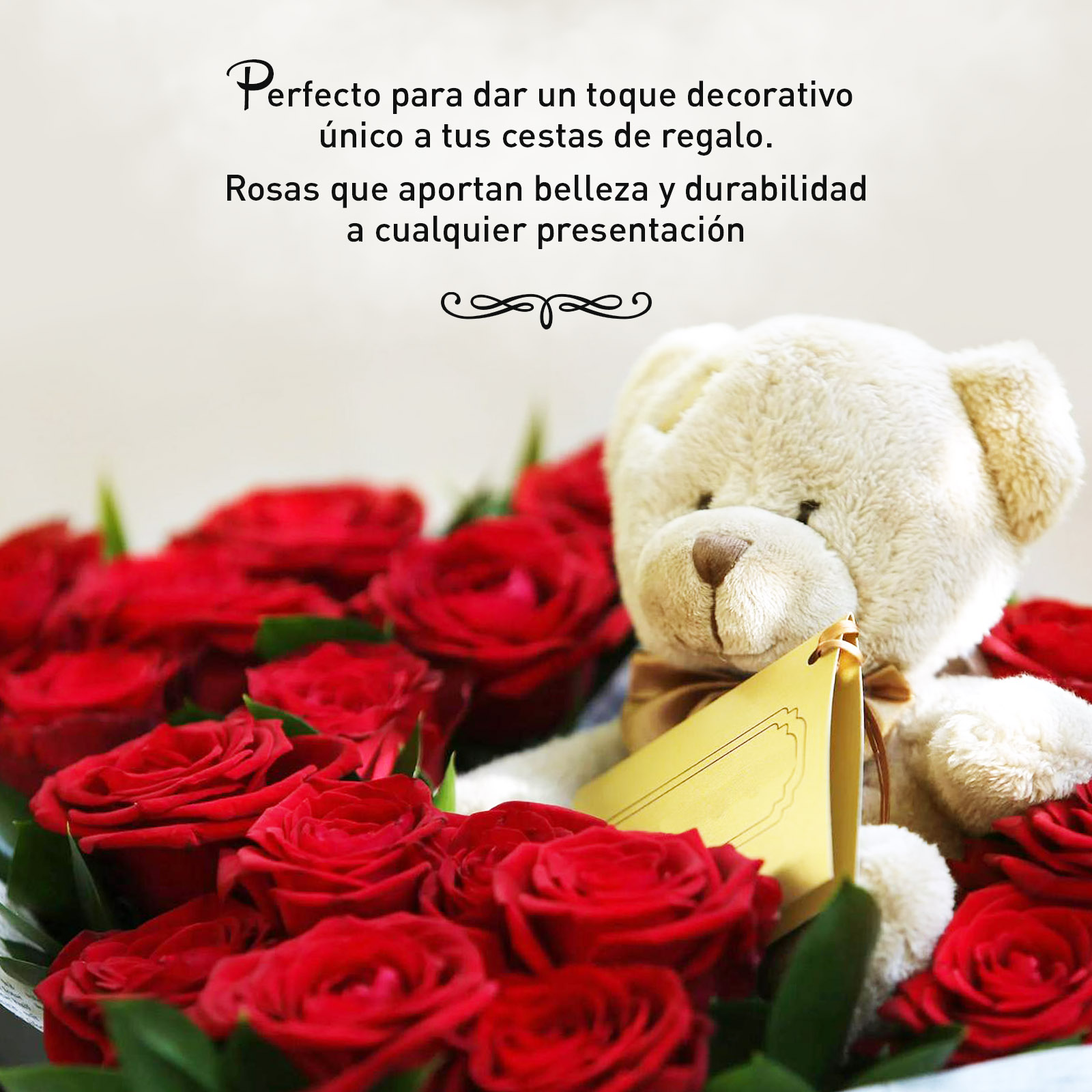 Rosa Preservada de Botón Kiara Rojo - Imagen 3