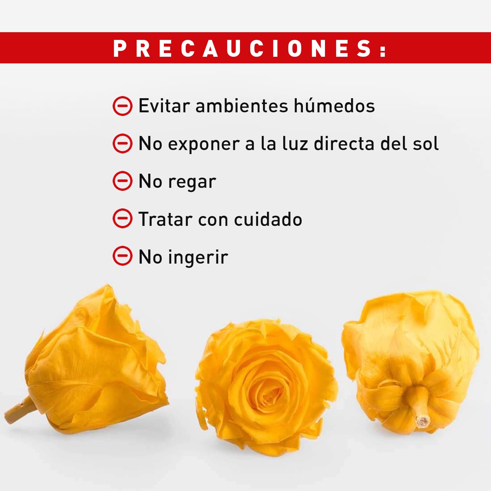 Rosa Preservada de Botón Kiara Amarillo - Imagen 5