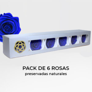 Rosa Preservada de Botón Kiara Azul