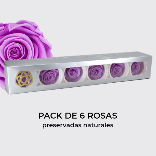 Rosa Preservada de Botón Kiara Púrpura