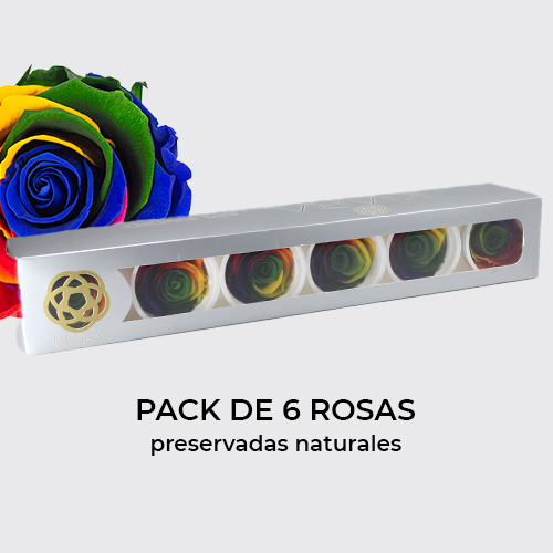 Rosa Preservada de Botón Kiara Arcoíris
