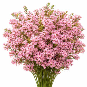 Flor de Cera Rosa