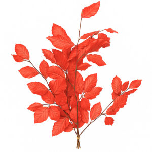 Hoja de Roble tenido
