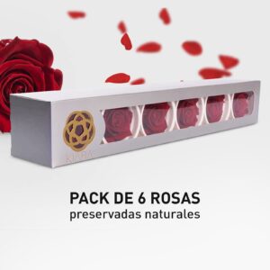 Rosa Preservada de Botón Kiara Rojo Sangre