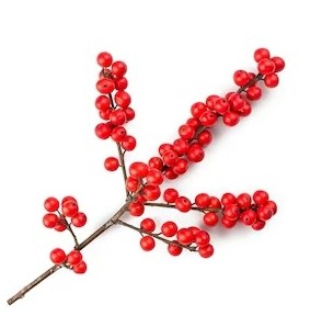Ilex 40cm