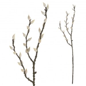 SALIX