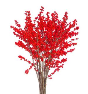 Ilex Rojo 80cm