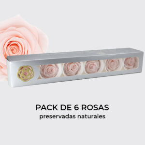 Rosa preservada de botón Kiara Pink Blush – Rosa Rubor