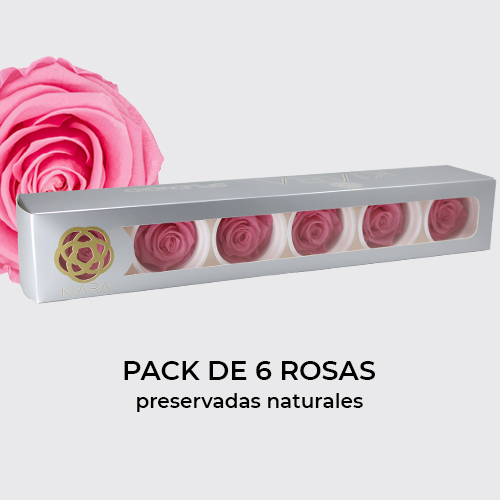 Rosa preservada de botón Kiara Baby Pink – Rosa Bebé