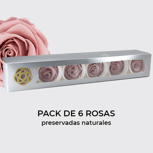 Rosa preservada de botón Kiara Dusty Rose