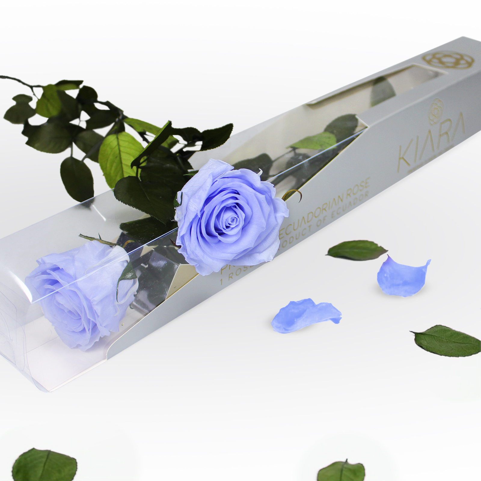 20× Rosa preservada Kiara Cool Lavander – 55 cm - Imagen 2
