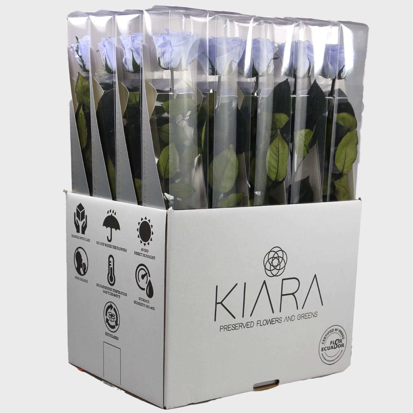20× Rosa preservada Kiara Cool Lavander – 55 cm