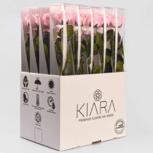 20× Rosa preservada Kiara Rosa – 55 cm